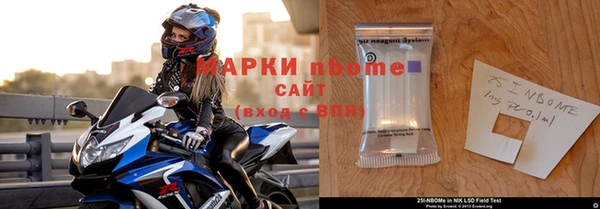 шишки Инсар