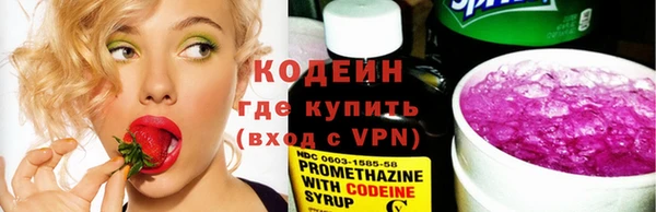 шишки Инсар