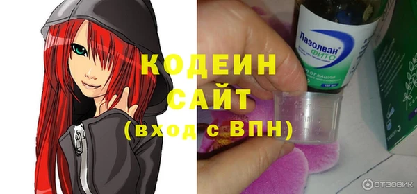 шишки Инсар