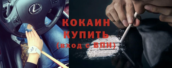 шишки Инсар