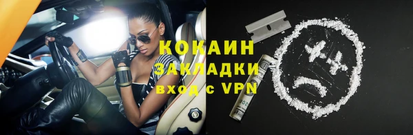 шишки Инсар