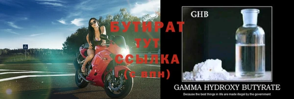 шишки Инсар