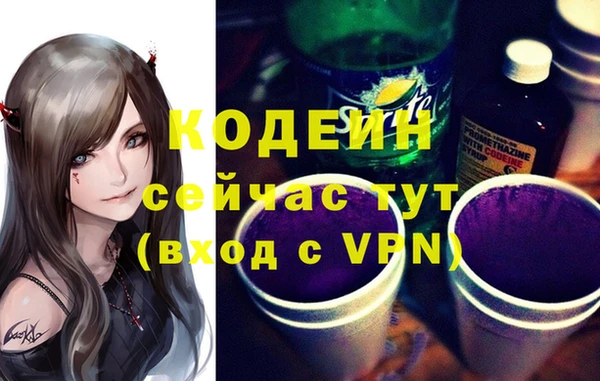 шишки Инсар