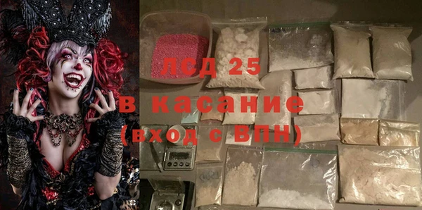 шишки Инсар
