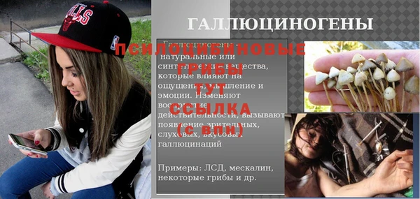шишки Инсар