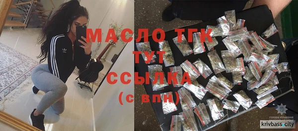 шишки Инсар