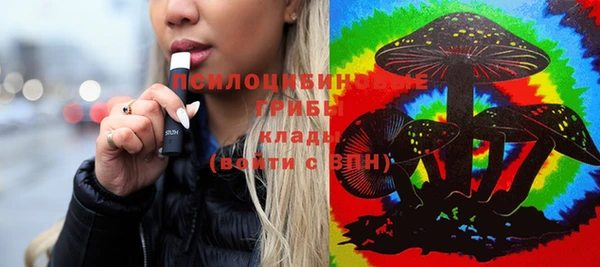 шишки Инсар