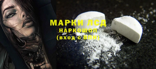 шишки Инсар