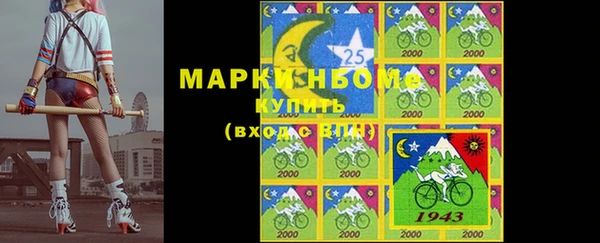 ГАЛЛЮЦИНОГЕННЫЕ ГРИБЫ Каменка