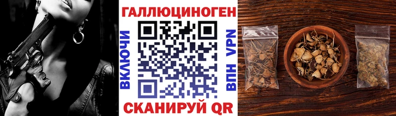 Купить  Калач  Псилоцибиновые грибы MAGIC MUSHROOMS 